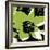 Blooming Green-Herb Dickinson-Framed Photographic Print