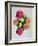 Blooming Happiness-Anne Storno-Framed Giclee Print