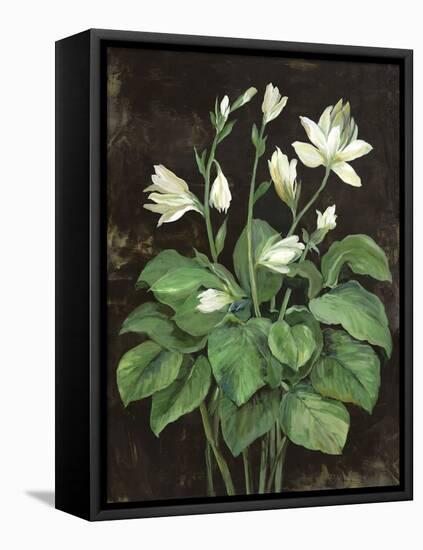 Blooming Hosta-Asia Jensen-Framed Stretched Canvas