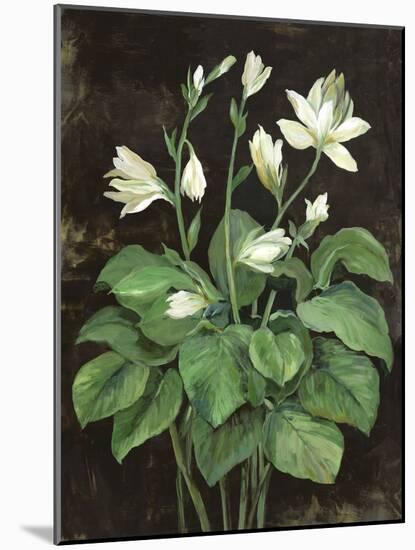 Blooming Hosta-Asia Jensen-Mounted Art Print