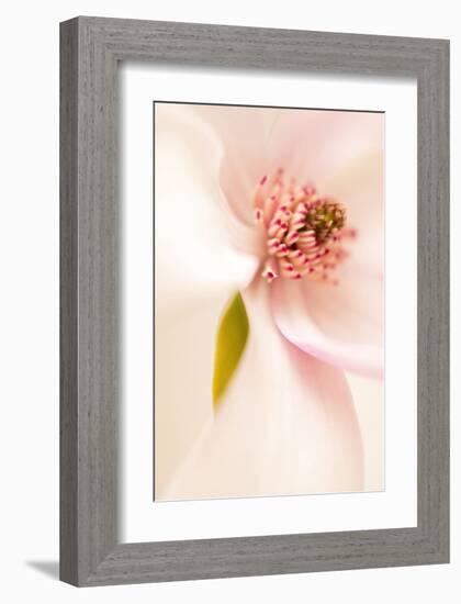 Blooming I-Christine Zalewski-Framed Art Print