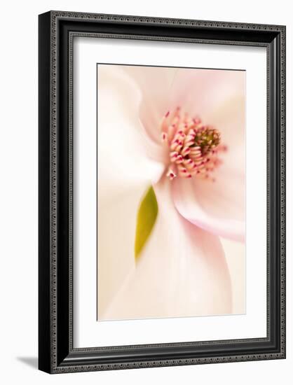 Blooming I-Christine Zalewski-Framed Art Print