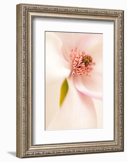 Blooming I-Christine Zalewski-Framed Art Print