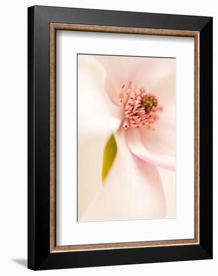 Blooming I-Christine Zalewski-Framed Art Print