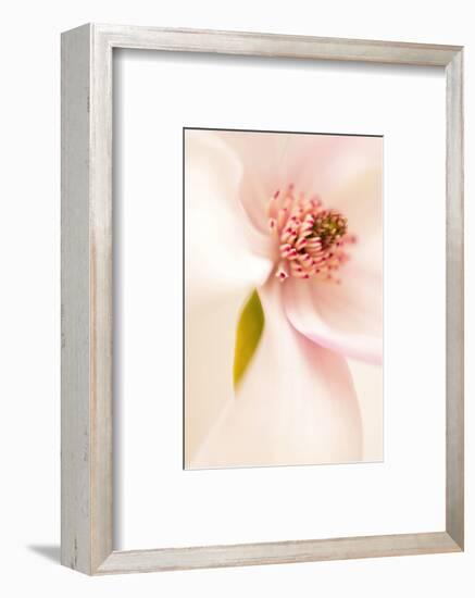 Blooming I-Christine Zalewski-Framed Art Print