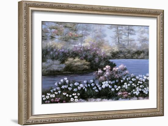 Blooming Isle-Diane Romanello-Framed Art Print