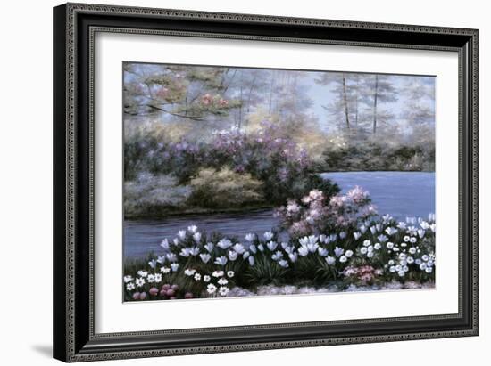 Blooming Isle-Diane Romanello-Framed Art Print