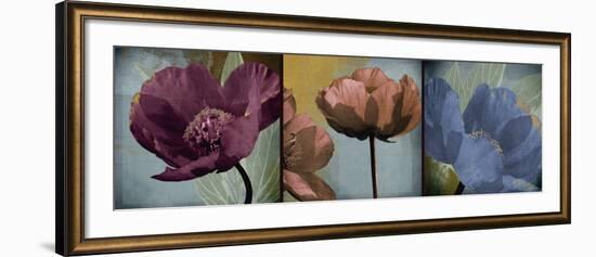 Blooming Jewels-Robert Lacie-Framed Art Print