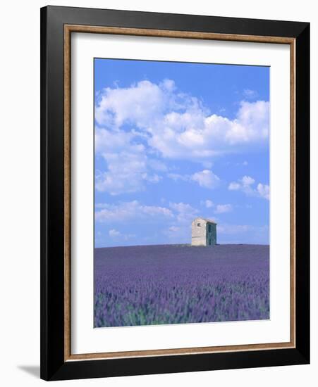 Blooming lavender and stone house in France-Herbert Kehrer-Framed Photographic Print