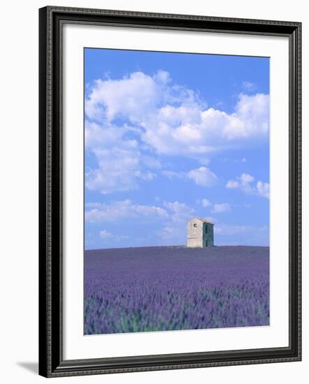 Blooming lavender and stone house in France-Herbert Kehrer-Framed Photographic Print