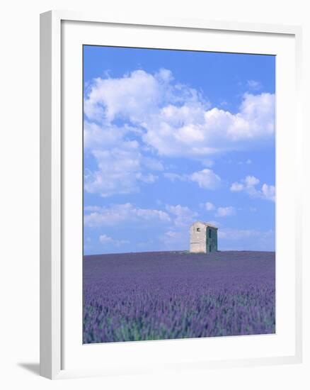 Blooming lavender and stone house in France-Herbert Kehrer-Framed Photographic Print