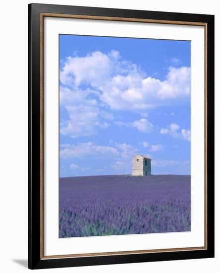 Blooming lavender and stone house in France-Herbert Kehrer-Framed Photographic Print