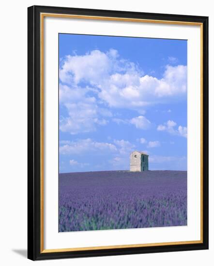 Blooming lavender and stone house in France-Herbert Kehrer-Framed Photographic Print