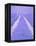 Blooming lavender in lines-Herbert Kehrer-Framed Premier Image Canvas