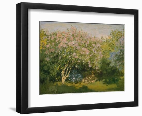 Blooming Lilac in Sunshine, 1873-Claude Monet-Framed Giclee Print