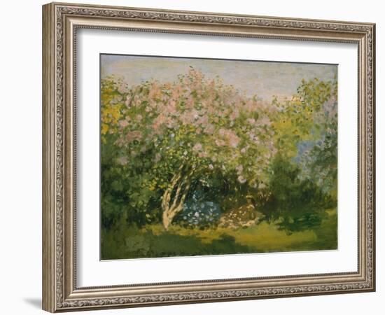 Blooming Lilac in Sunshine, 1873-Claude Monet-Framed Giclee Print