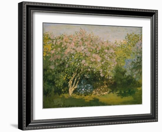 Blooming Lilac in Sunshine, 1873-Claude Monet-Framed Giclee Print