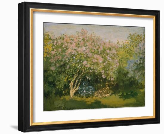 Blooming Lilac in Sunshine, 1873-Claude Monet-Framed Giclee Print