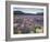 Blooming Lupine Near Town of Teanua, South Island, New Zealand-Dennis Flaherty-Framed Photographic Print