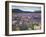 Blooming Lupine Near Town of Teanua, South Island, New Zealand-Dennis Flaherty-Framed Photographic Print