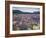 Blooming Lupine Near Town of Teanua, South Island, New Zealand-Dennis Flaherty-Framed Photographic Print