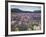 Blooming Lupine Near Town of Teanua, South Island, New Zealand-Dennis Flaherty-Framed Photographic Print