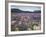 Blooming Lupine Near Town of Teanua, South Island, New Zealand-Dennis Flaherty-Framed Photographic Print