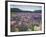 Blooming Lupine Near Town of Teanua, South Island, New Zealand-Dennis Flaherty-Framed Photographic Print