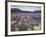 Blooming Lupine Near Town of Teanua, South Island, New Zealand-Dennis Flaherty-Framed Photographic Print