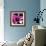 Blooming Magenta-Herb Dickinson-Framed Photographic Print displayed on a wall