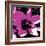 Blooming Magenta-Herb Dickinson-Framed Photographic Print