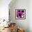 Blooming Magenta-Herb Dickinson-Framed Photographic Print displayed on a wall