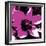 Blooming Magenta-Herb Dickinson-Framed Photographic Print