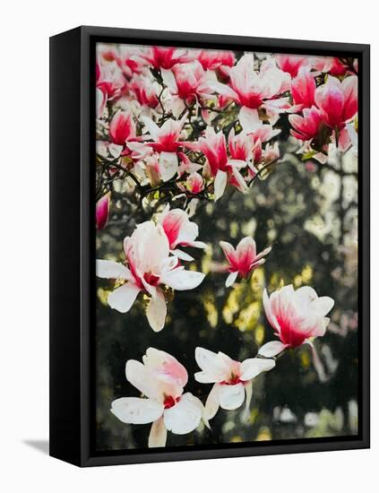 Blooming Magnolia, 2018,-Helen White-Framed Premier Image Canvas