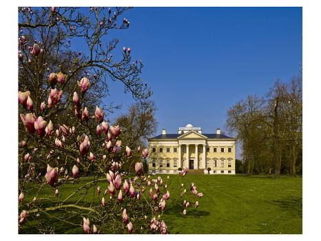 Blooming Magnolia and Woerlitz Castle at Woerlitz Gardens, Saxony-Anhalt,  Germany' Premium Giclee Print | Art.com