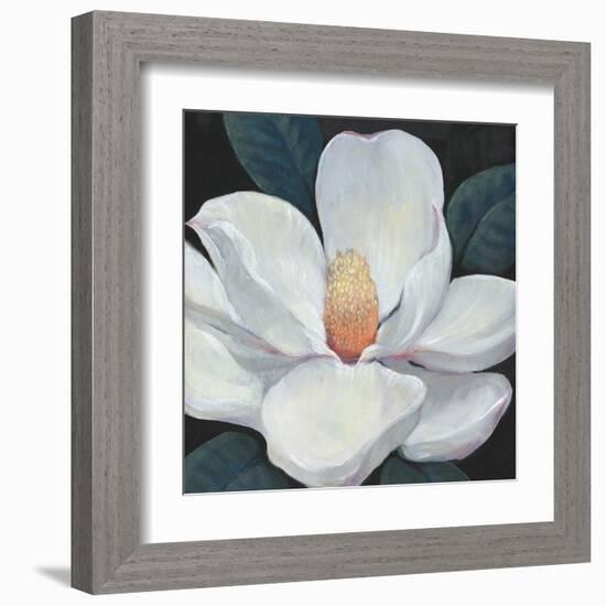 Blooming Magnolia I-Tim OToole-Framed Art Print