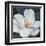 Blooming Magnolia I-Tim OToole-Framed Art Print