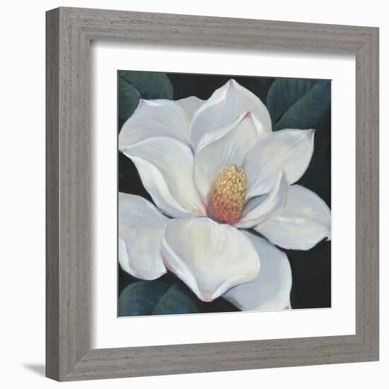 Blooming Magnolia II-Tim OToole-Framed Art Print