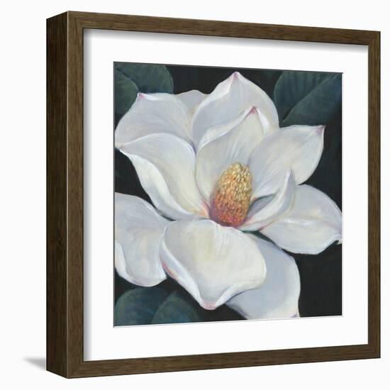 Blooming Magnolia II-Tim OToole-Framed Art Print