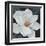 Blooming Magnolia II-Tim OToole-Framed Art Print