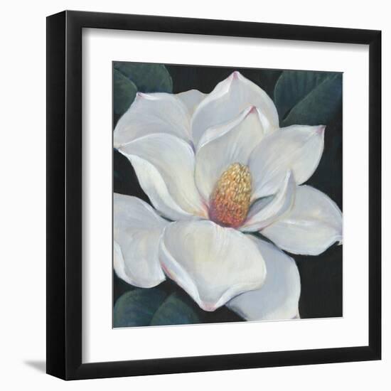 Blooming Magnolia II-Tim OToole-Framed Art Print