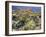 Blooming Ocotillo Cactus and Brittlebush Desert Wildflowers, Anza-Borrego Desert State Park-Christopher Talbot Frank-Framed Photographic Print