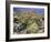 Blooming Ocotillo Cactus and Brittlebush Desert Wildflowers, Anza-Borrego Desert State Park-Christopher Talbot Frank-Framed Photographic Print