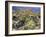 Blooming Ocotillo Cactus and Brittlebush Desert Wildflowers, Anza-Borrego Desert State Park-Christopher Talbot Frank-Framed Photographic Print