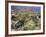 Blooming Ocotillo Cactus and Brittlebush Desert Wildflowers, Anza-Borrego Desert State Park-Christopher Talbot Frank-Framed Photographic Print