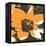 Blooming Orange-Herb Dickinson-Framed Premier Image Canvas