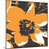 Blooming Orange-Herb Dickinson-Mounted Photographic Print
