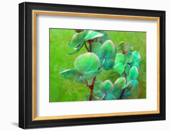 Blooming Orchids in Green Tones on Green Floral Ornament Backgound-Alaya Gadeh-Framed Photographic Print