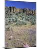 Blooming Phlox, Larkspur and Columnar Basalt, Columbia Natonal Wildlife Refuge, Washington, USA-null-Mounted Photographic Print