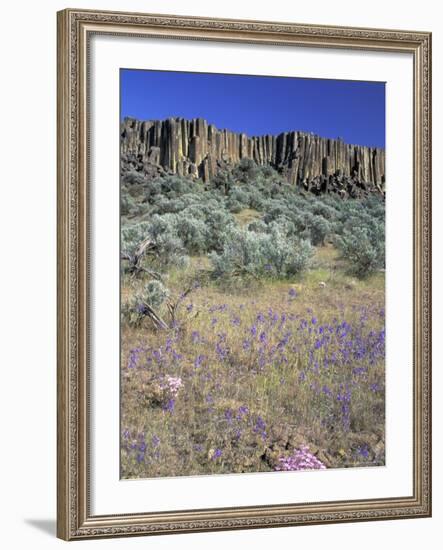 Blooming Phlox, Larkspur and Columnar Basalt, Columbia Natonal Wildlife Refuge, Washington, USA-null-Framed Photographic Print